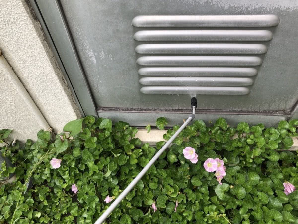 京都市・個人宅のノミ駆除の事例の処理後写真（拡大）