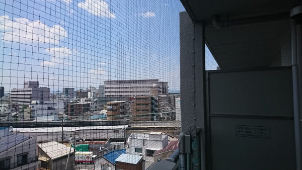 神戸市兵庫区・マンション（個人宅）の防鳩ネット施工の事例　の処理後写真(2)