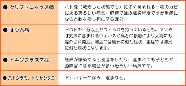 鳩糞による被害 鳩糞による被害