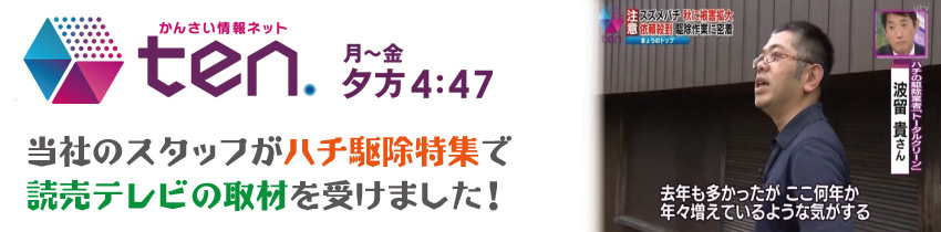 当社のスタッフがハチ駆除特集で
読売テレビの取材を受けました 当社のスタッフがハチ駆除特集で
読売テレビの取材を受けました