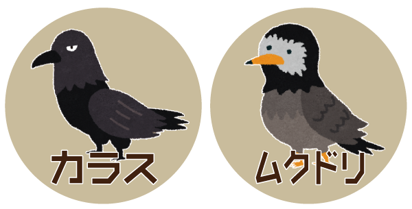 カラス ムクドリ 巣 カラス ムクドリ 巣