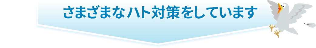 さまざまなハト対策をしています