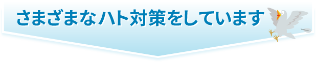 さまざまなハト対策をしています