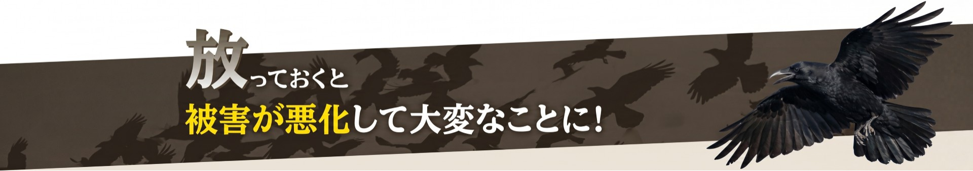 放っておくと被害が悪化して大変なことに