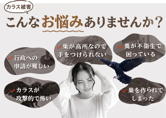 カラス被害こんなお悩みありませんか？