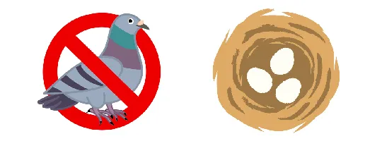 鳩は動物保護法で守られている