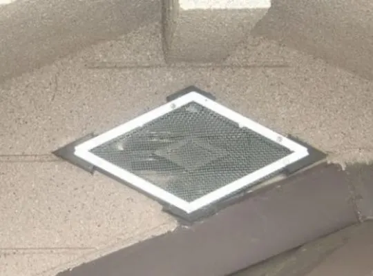 大阪府茨木市コウモリ駆除