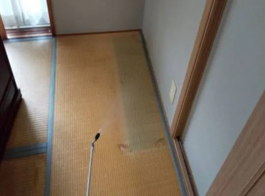 京都市東山区トコジラミ駆除