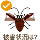 被害状況は？