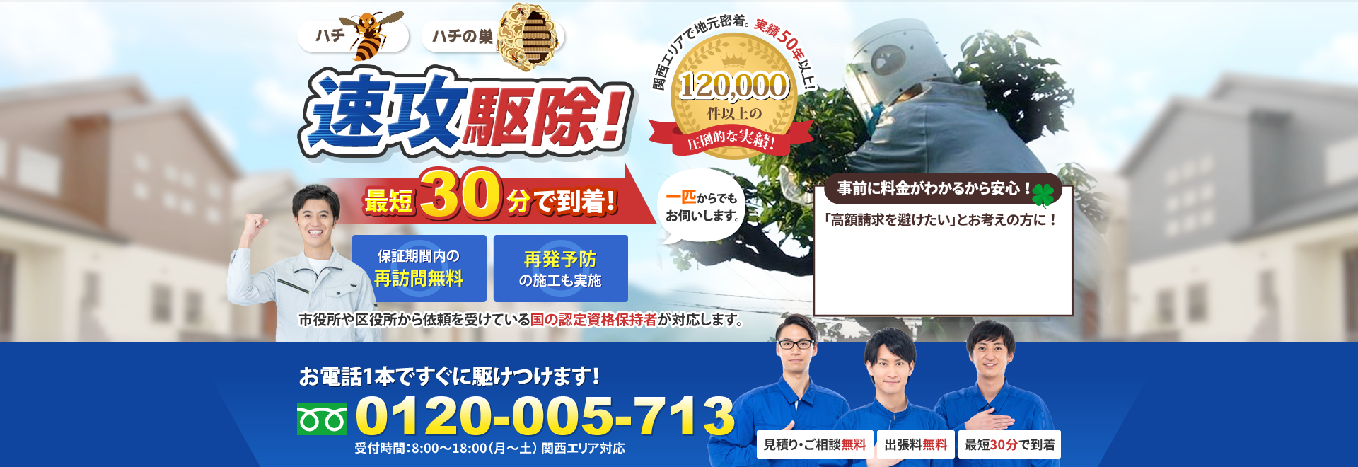 蜂の巣を速攻駆除!国の認定視覚保持者が対応