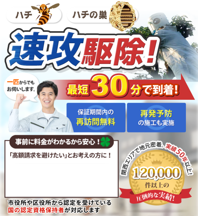 蜂の巣を速攻駆除!国の認定視覚保持者が対応