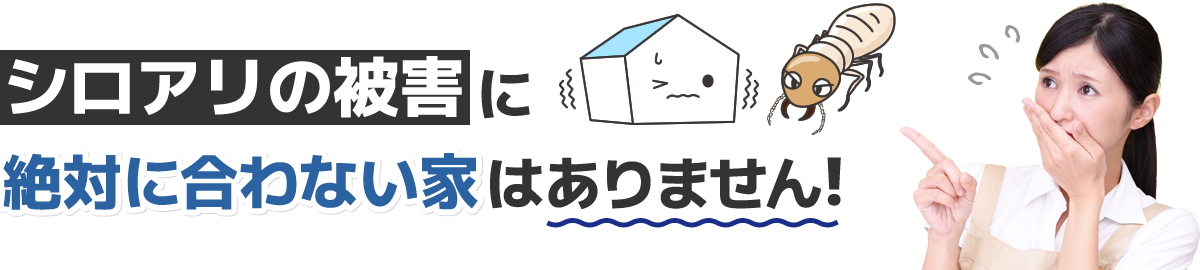 シロアリの被害に絶対に合わない家はありません!